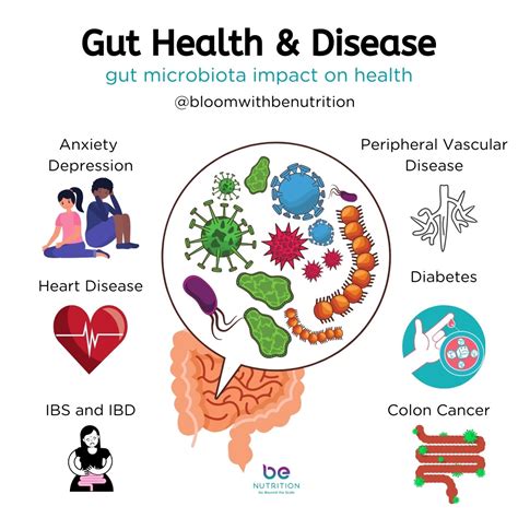 Gut Health & Chronic Disease: Why You Should Care About Your Gut — BE Nutrition