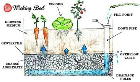 How to make an IBC Wicking Bed - Simple Savings | Wicking garden bed, Wicking beds, Garden beds