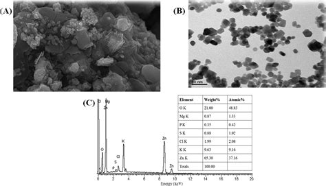 Green Synthesis Of Zinc Oxide Nanoparticles Using Sea, 55% OFF