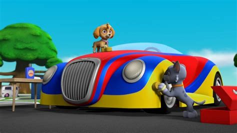 Paw Patrol - Pups Save Ace's Birthday Surprise - TheTVDB.com