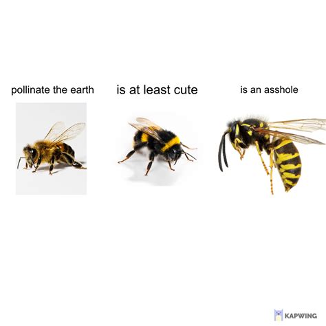 This Is A Wasp Meme