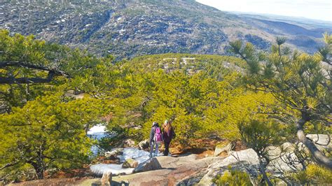 Champlain Mountain | Beechcroft Path | Acadia National Park – #lovemaineadventures