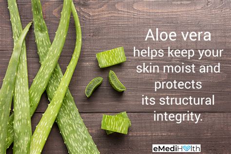 Aloe Vera: Health Benefits and Side Effects - eMediHealth