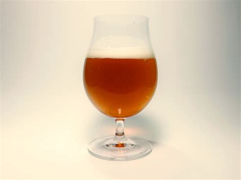 The IPA Glassware Review | Hooked On Hops – The Las Vegas Craft Beer Site