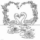 Coloring Pages Of A Swan sketch template