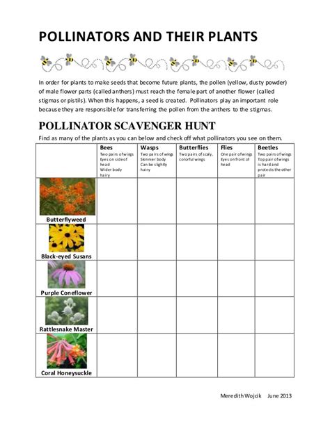 POLLINATORS AND THEIR PLANTS kids (1)