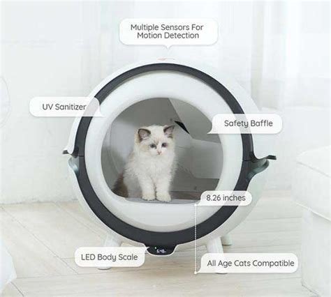 Catson Automatic Cat Litter Box with UV Sanitizer | Gadgetsin