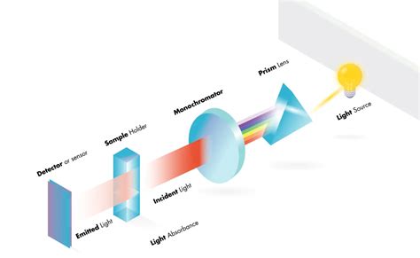 Exploring the Applications and Techniques of Absorption Spectroscopy ...