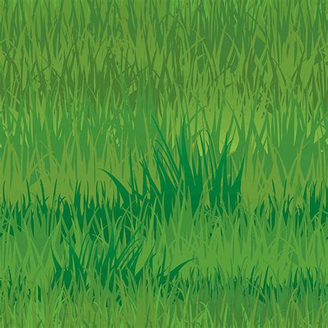 Best Grass Texture Illustrations, Royalty-Free Vector Graphics & Clip Art - iStock