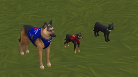 Sims 4 Dog CC: Dog Beds, Dog Houses & More – FandomSpot