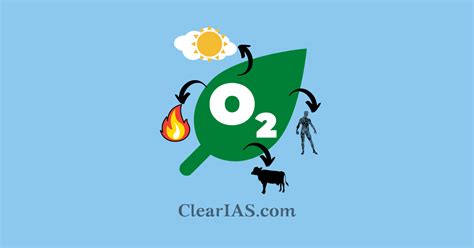 Oxygen Cycle - ClearIAS