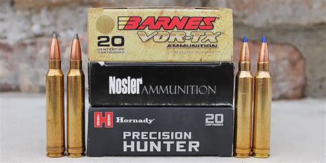 Best .300 Win Mag Ammo For Hunting Elk, Deer & Other Big Game - Big ...