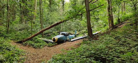 Abandoned plane in a forest somewhere in belgium : r/urbanexploration