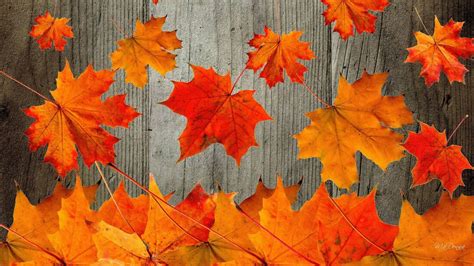 Free Autumn Wallpaper Screensavers