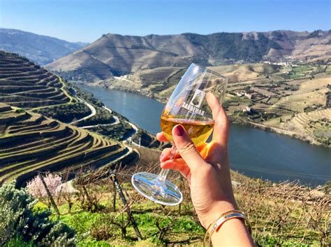 Porto private wine tours in Douro . Visit Douro today!