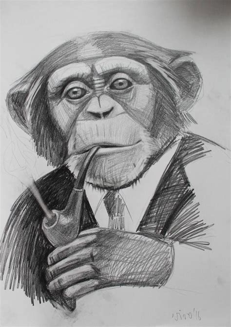 anthropoid ape 4 Drawing | Cartoon monkey drawing, Monkey art, Monkey art drawing