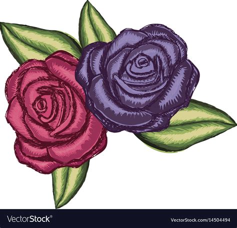 Realistic flower red rose and purple Royalty Free Vector