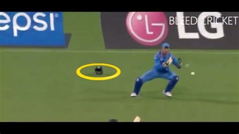 Here Is Why MS Dhoni Doesn’t Have National Flag On The Helmet