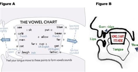 Phonological Processes Chart Caroline Bowen – Coverletterpedia