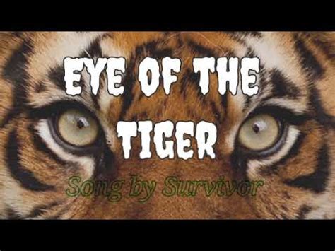 Eye Of The Tiger [Lyrics] Song by Survivor - YouTube