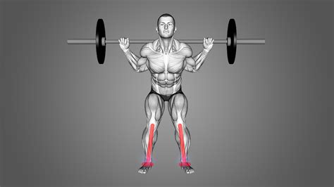 Squat Ankle Pain: Signs, Form Issues, and More - Inspire US