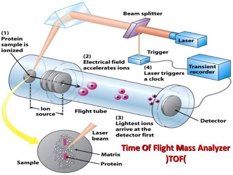 mass-spectrometry-basic-principles-20-638.jpg (638×479) | Chemistry: Organic | Pinterest | Mass ...