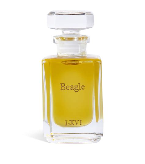Beagle Pure Perfume