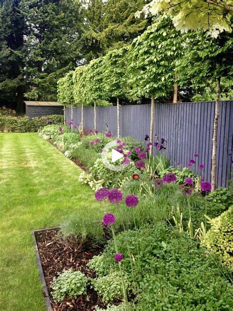 Redirecting in 2021 | Garden privacy ideas plants, Garden border plants, Plants