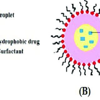 Shows applications of Nanoemulsion | Download Scientific Diagram