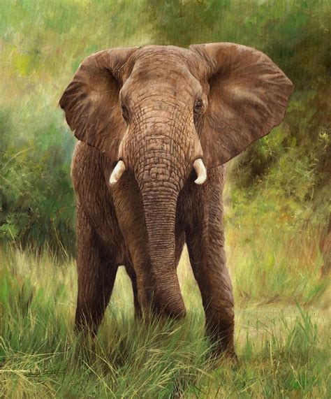 African Elephant Painting