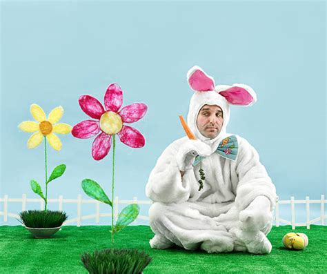 2,100+ Man In Bunny Costume Stock Photos, Pictures & Royalty-Free Images - iStock