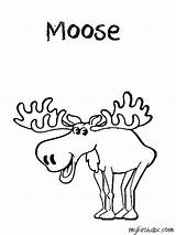 Moose Coloring Pages  Coloring Home sketch template