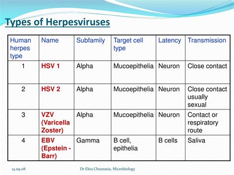 PPT - Herpesviridae Family PowerPoint Presentation, free download - ID:2392416