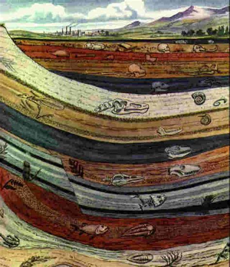 sediment layers | Geologia, Fósseis, Ciências da terra