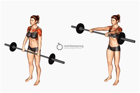 Barbell Front Raise for Targeting Anterior Deltoid Growth