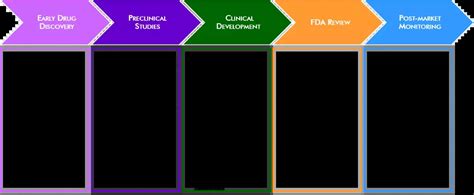 Drug Discovery, Drug Development Process | NorthEast BioLab