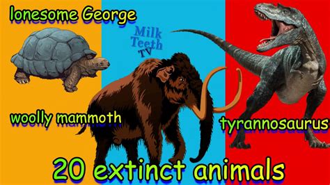 Extinct Animals Pictures With Names