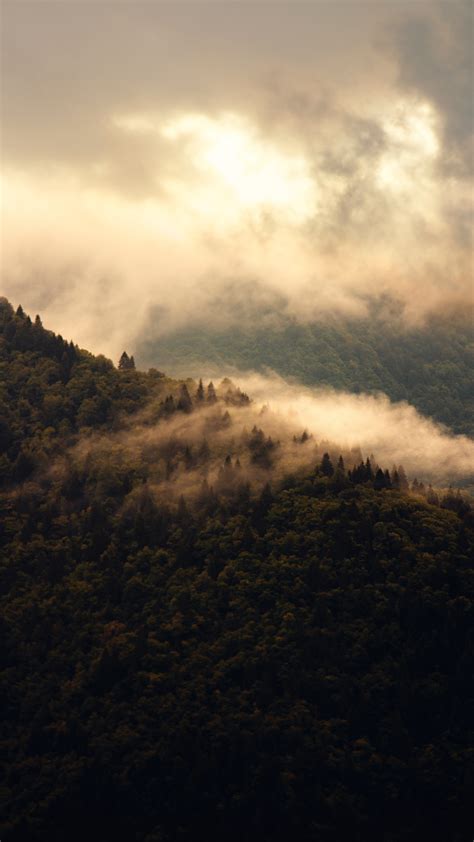 Dark Green Mountain Photos, Download The BEST Free Dark Green Mountain ...