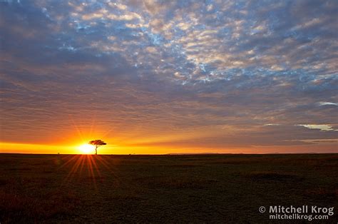 Epic Maasai Mara African Sunrise Landscape, Kenya