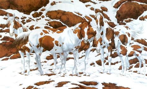 Bev Doolittle ,Horses & landscapes Paintings - ArtPeople.Net