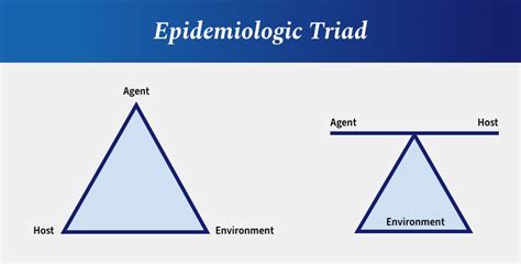 Using the CDC’s Infection Control Pyramid to Minimize and Manage Hazards - Spear Education