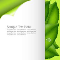 Free template greenery and nature vector Vector, Free Templates Vectors - SVGFreak.com