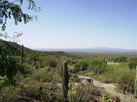 Desert Museum - Tucson Arizona | Natural landmarks, Tucson arizona, Landmarks