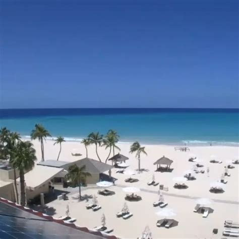 Aruba Romantic Resort & Hotel - Bucuti & Tara Beach Resort | Bucuti and Tara Beach Resort