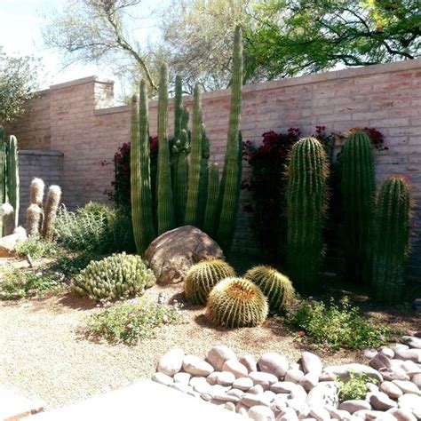 What is Xeriscaping? - Sonoran Scapes Landscaping Inc.