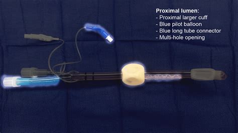 Esophageal tracheal airway/ Combitube® | Anesthesia Airway Management (AAM)