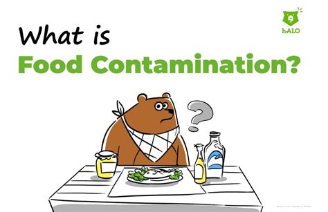 What is food contamination? - H-alo