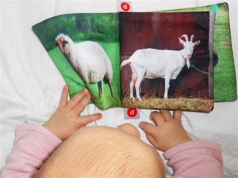 FARM ANIMALS Cloth Book for Baby Realistic Illustrations | Etsy