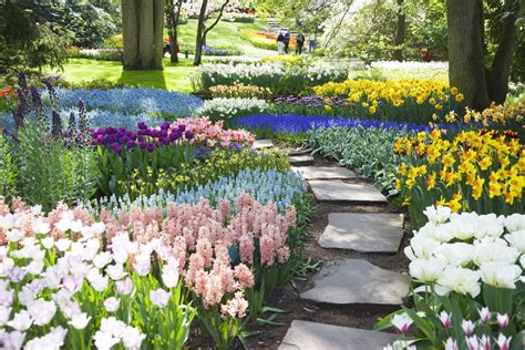 10 best botanical gardens in North America, according to readers