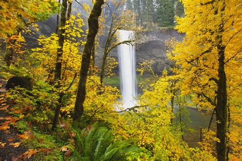 Must-Visit State Parks in Oregon